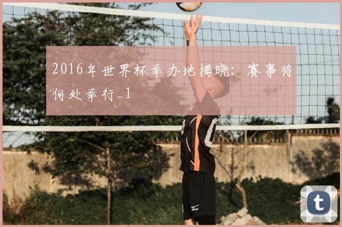 2016年世界杯举办地揭晓:赛事将何处举行_1