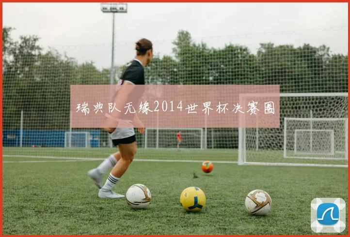 瑞典队无缘2014世界杯决赛圈