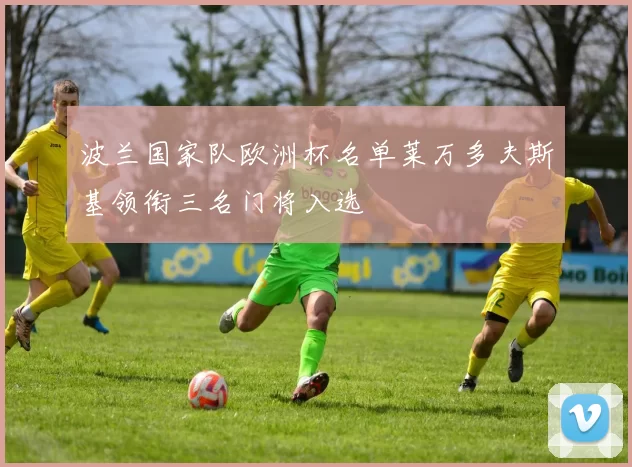 波兰国家队欧洲杯名单莱万多夫斯基领衔三名门将入选