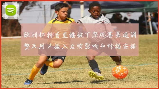 欧洲杯抖音直播被下架观赛渠道调整及用户接入后续影响和转播安排