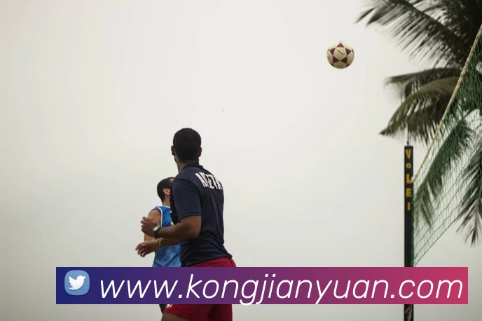 MK官方端网站登录入口 - MK(中国)平台生态图